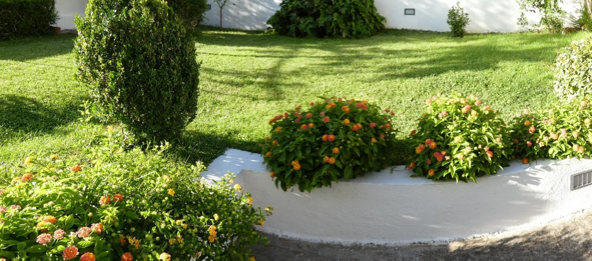 B&B Oliena Exterior foto