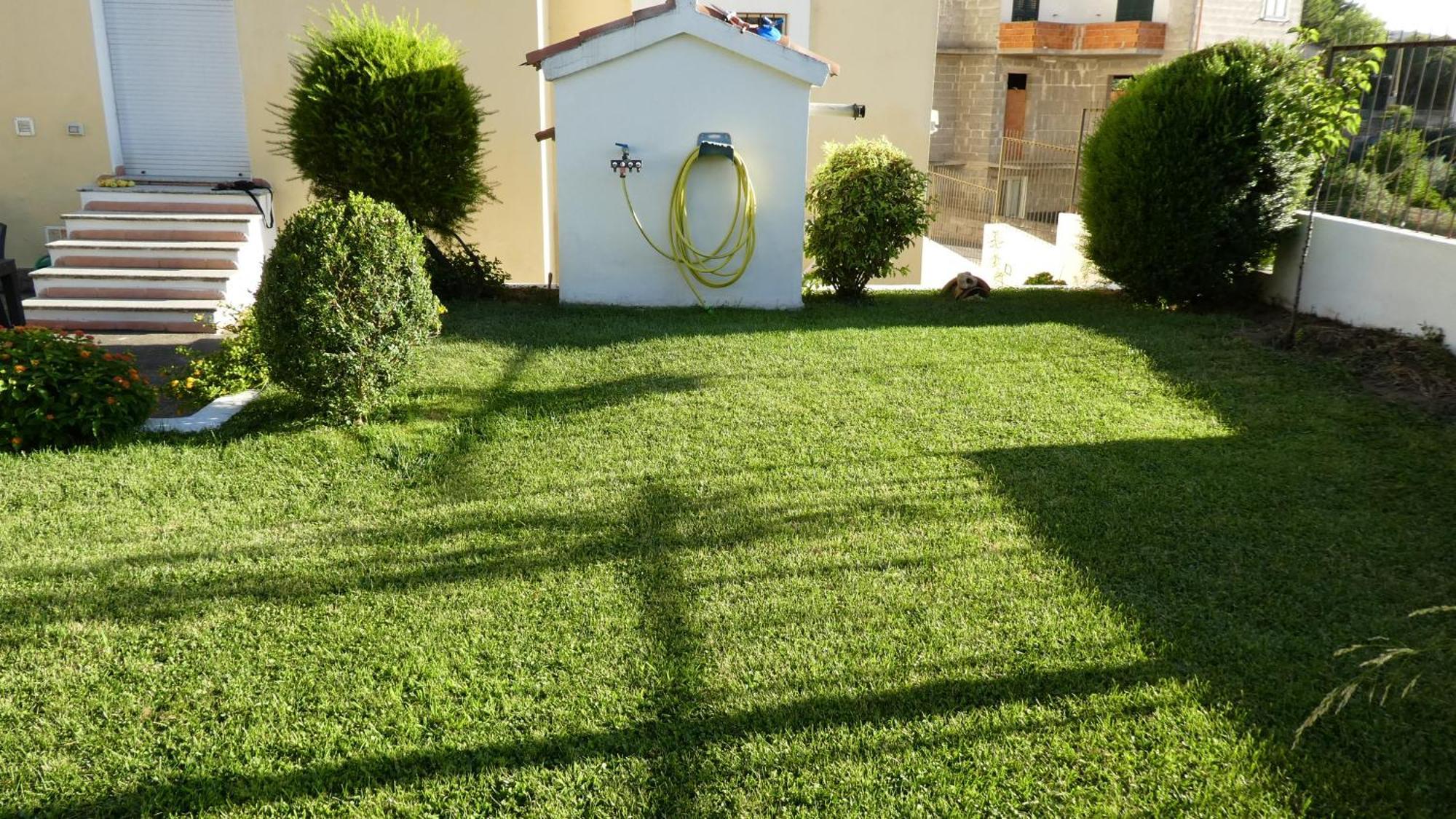 B&B Oliena Exterior foto